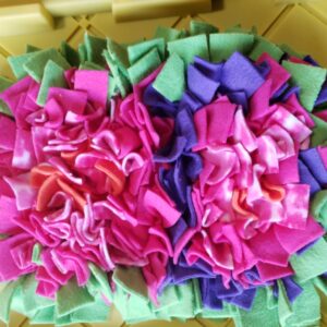 K9T Snuffle Mat