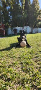 playtime1