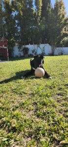 playtime2